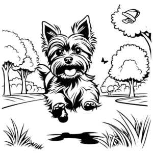 Yorkshire Terrier Running in a park coloring page