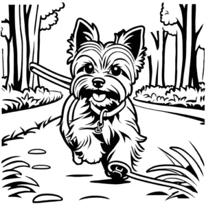 Yorkshire Terrier running with a leash in a park coloring page