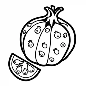 Pomegranate coloring page with outer skin and seeds coloring page