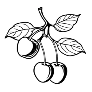 Realistic cherry fruit with detailed features coloring page