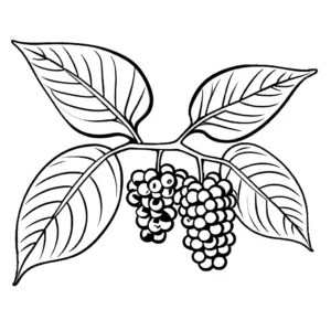 A branch of a blackberry bush loaded with ripe fruits and healthy green leaves coloring page