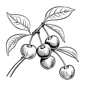 Ripe cherry fruit on a tree branch coloring page