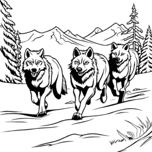 Group of wolves running in the snowy landscape coloring page