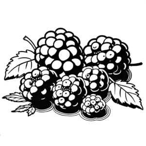 Ripe and juicy blackberries laying on a table, ready to be enjoyed coloring page