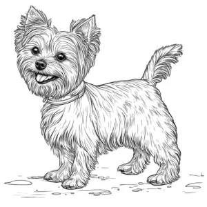 Yorkie with a flowing coat walking on a leash with a smile on its face coloring page