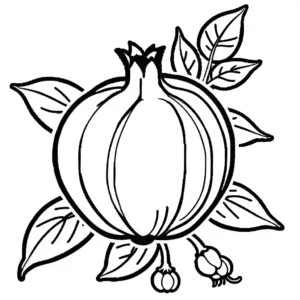 Pomegranate with its flower and leaves still attached, fresh and natural coloring page