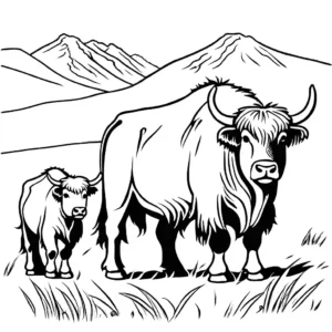 Coloring page of a yak family with baby yaks grazing in a field coloring page