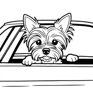 Yorkshire Terrier enjoying a car ride with head out of window coloring page