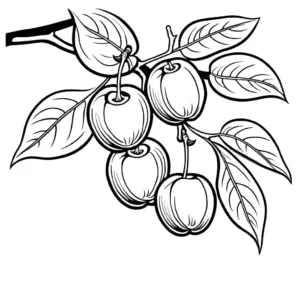 Coloring page of an apricot hanging on a branch with detailed leaves.