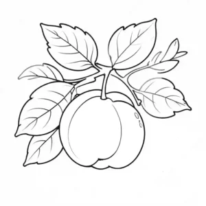 Coloring page of a outlined apricot with a leaf, perfect for children.
