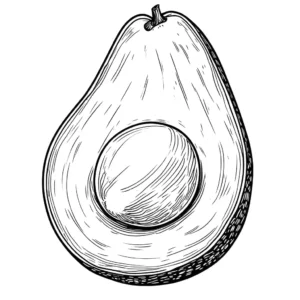 Outline of a whole avocado with a seed in the center for coloring.