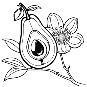 Coloring page depicting an elegant outline of an avocado flower and fruit on a branch for educational purposes