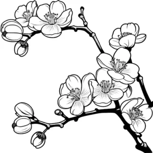 Coloring page of a blossoming apricot tree branch with apricots and flowers.