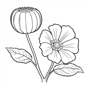 An outline of a cucumber flower, detailed and made for coloring.