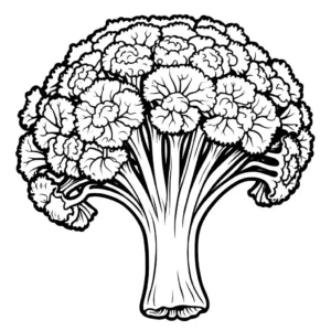 Detailed outlines of broccoli stem and florets for coloring