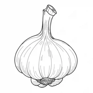 Outlined garlic bulb with intricate details for coloring.