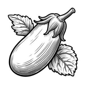 Eggplant with leaves and stem outline drawing for coloring page