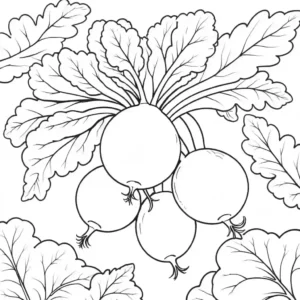 Neat radish with leaves outline drawing coloring page