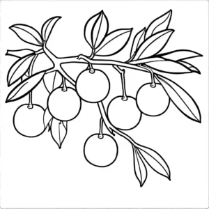 Line drawing of an orange branch with multiple oranges, perfect for coloring.