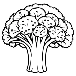 Black and white illustration of broccoli florets and stalk coloring page