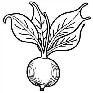 Line drawing of a radish with root details on a plain background for coloring.