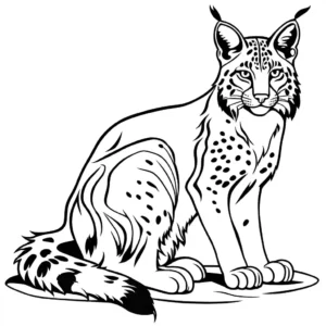 Coloring page showing an elegant line art of a sitting bobcat coloring page