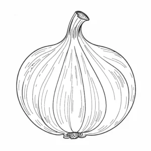Detailed illustration of a whole onion with visible layers, ideal for coloring.