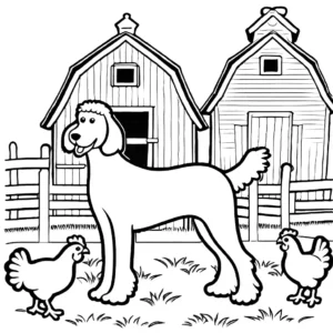 A coloring page of a Labradoodle exploring a farmyard with chickens and a barn.