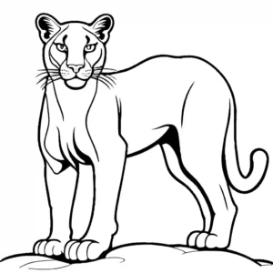 A majestic puma standing on a cliff coloring page, perfect for kids' creativity.