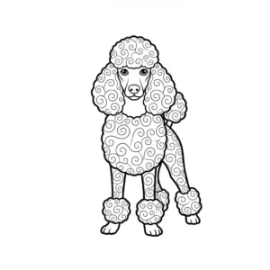 Black and white line art coloring page of an elegant standard poodle standing in a proud pose.