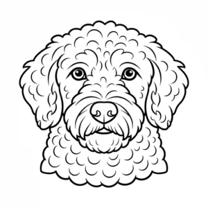 Close-up line art coloring page of a curly Lagotto Romagnolo's head.