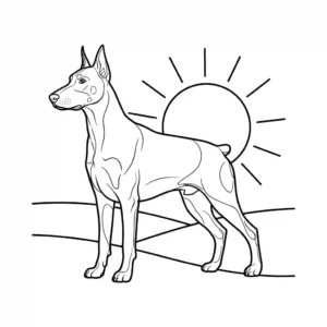 Silhouette coloring page of a standing, muscular Doberman Pinscher in profile with a simple sun background.