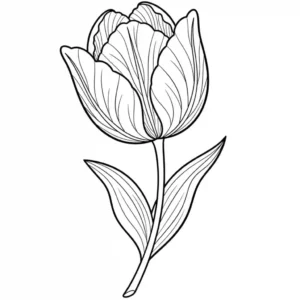 Black and line art illustration of a tulip flower for a coloring book.